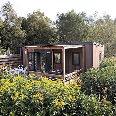 Camping Les Castors Calvi  Bagian luar foto