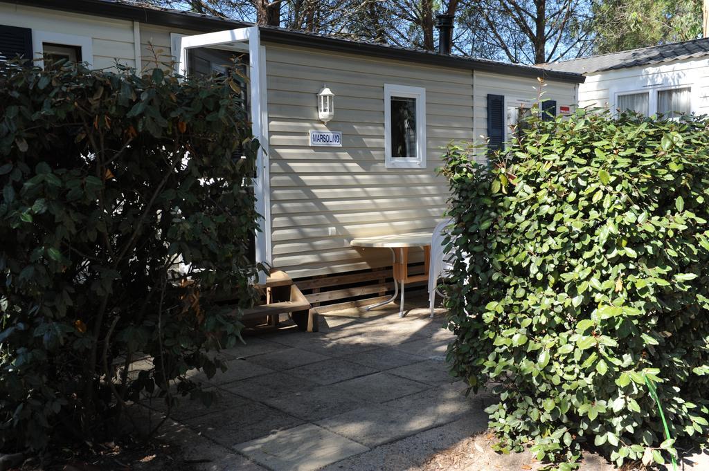 Camping Les Castors Calvi  Bagian luar foto