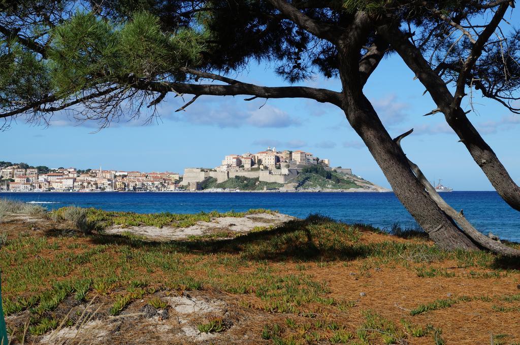 Camping Les Castors Calvi  Bagian luar foto
