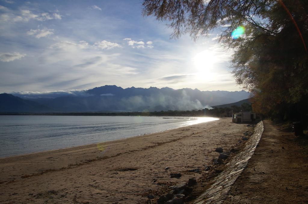 Camping Les Castors Calvi  Bagian luar foto