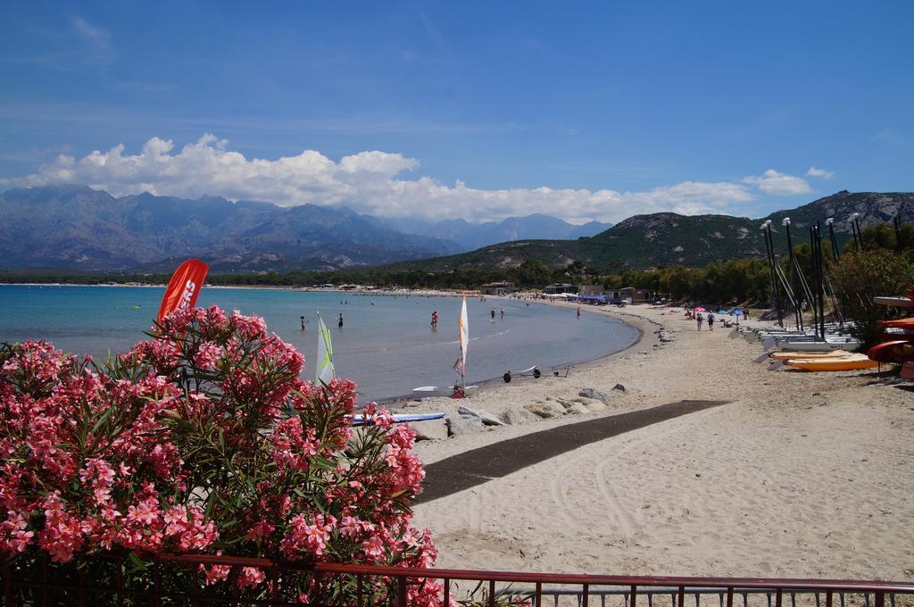 Camping Les Castors Calvi  Bagian luar foto