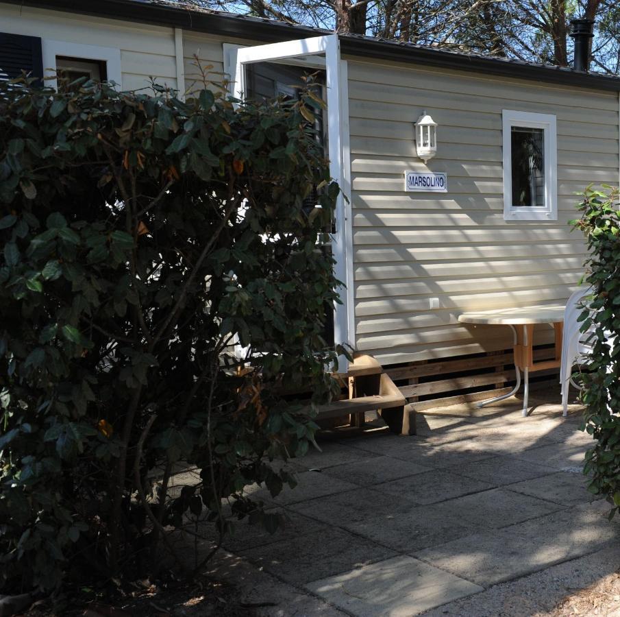 Camping Les Castors Calvi  Bagian luar foto